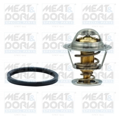 Thermostat, coolant